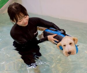 アジア動物医療リハビリテーションセンター連携 宿泊プランスタート